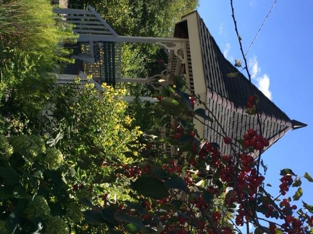 Breezy Hill Inn Fleischmanns Buitenkant foto